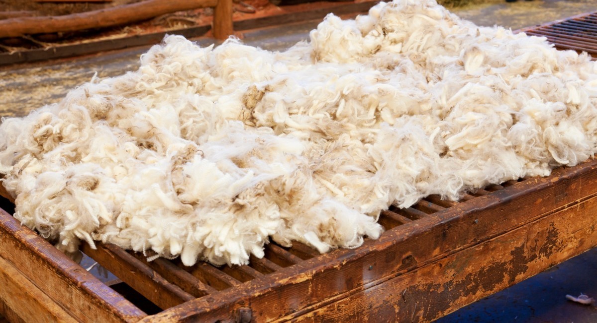 Nijemac zacijenio mašinu, pa je Bosanac sam napravio: Proizvodi gnojivo od ovčije vune