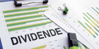 Dividendna politika odvraća male ulagače od dionica